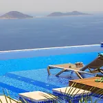Pax - Kalkan * カシュ